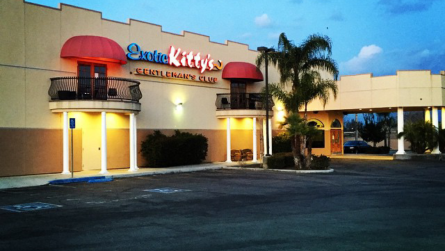 Exotic Kitty's Exotic Kitty's