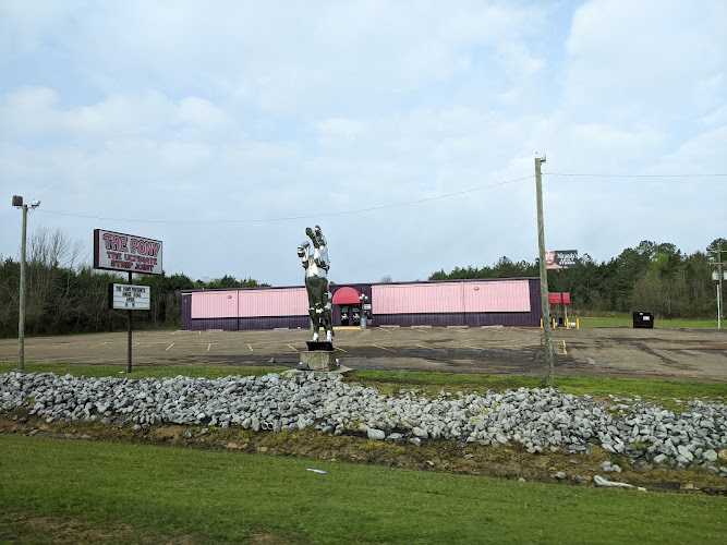 The Pony - Starkville Strip Club The Pony - Starkville Strip Club